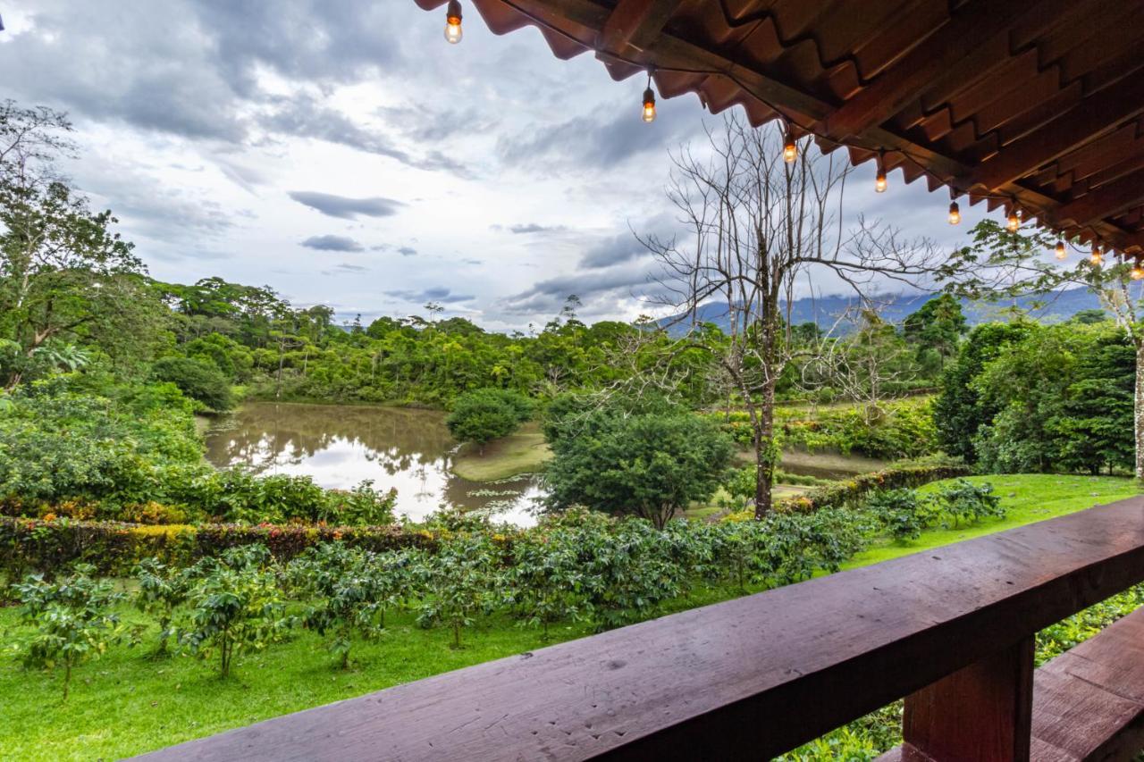 La Anita Rain Forest Colonia Dos Ríos Exteriör bild