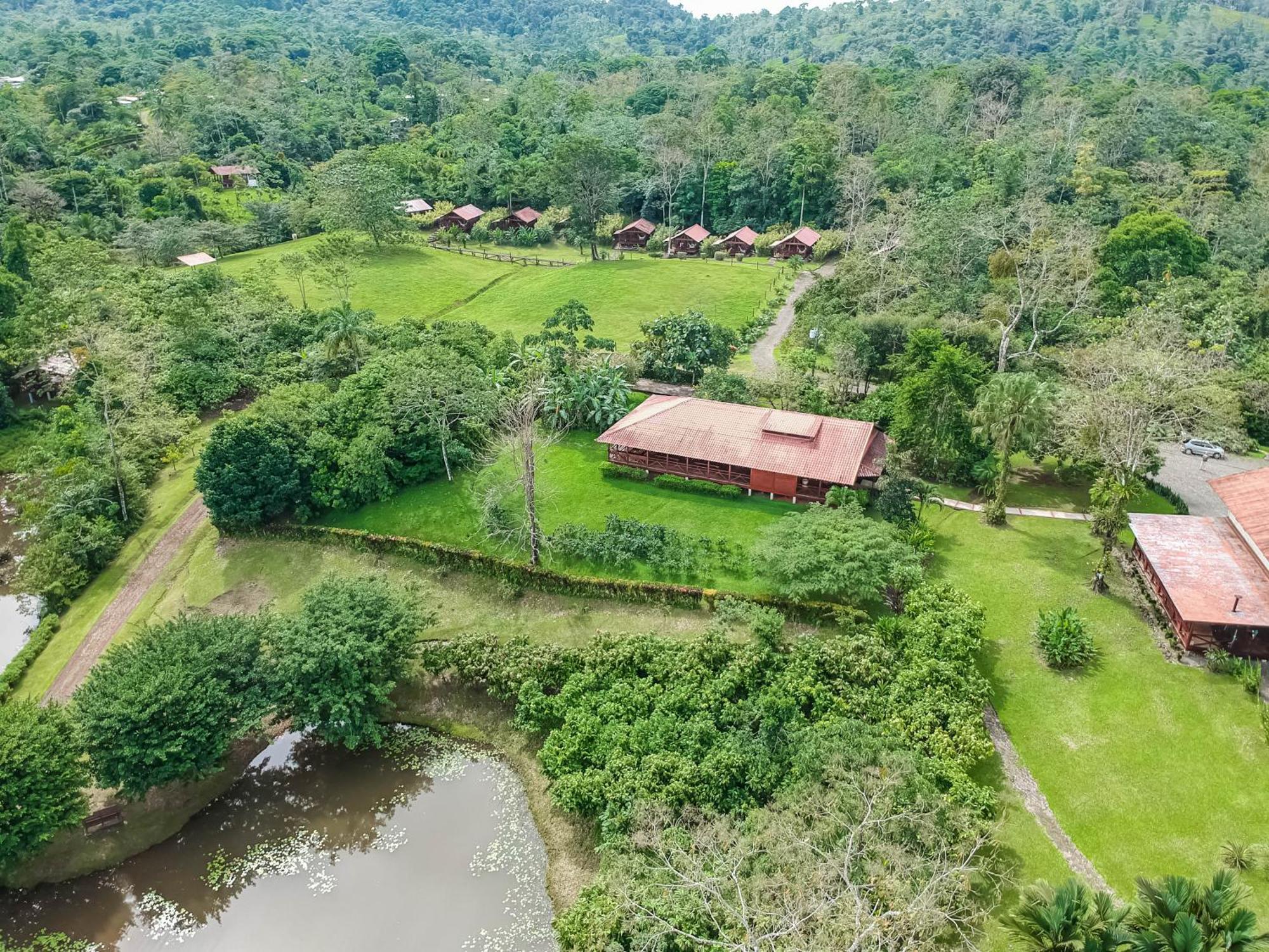 La Anita Rain Forest Colonia Dos Ríos Exteriör bild