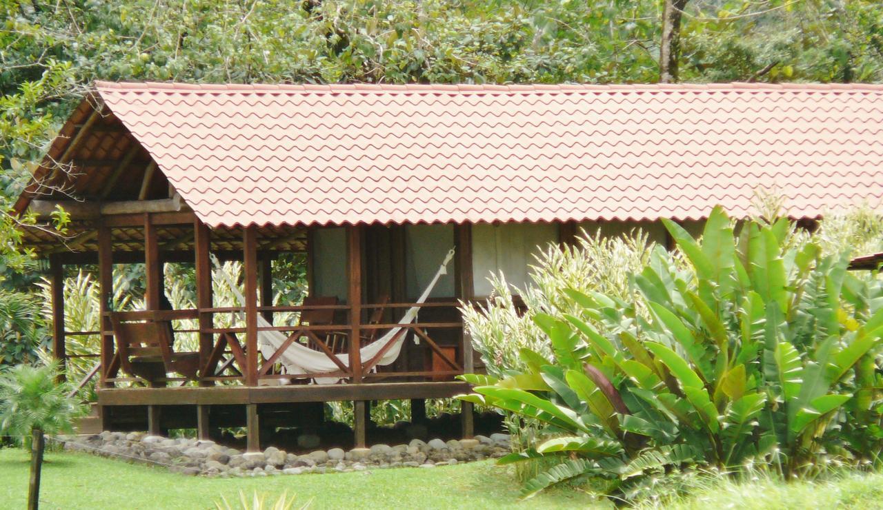 La Anita Rain Forest Colonia Dos Ríos Exteriör bild