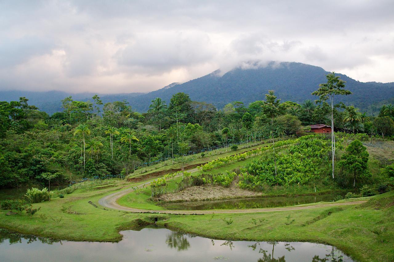 La Anita Rain Forest Colonia Dos Ríos Exteriör bild