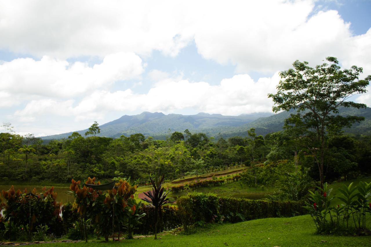 La Anita Rain Forest Colonia Dos Ríos Exteriör bild